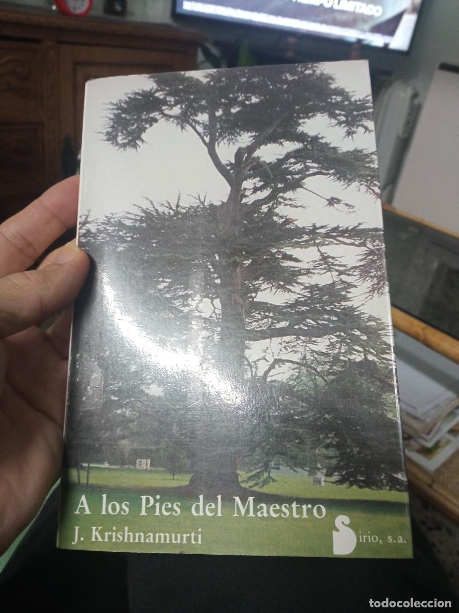 Libros de segunda mano: Krishnamurti. A los pies del maestro. Sirio 1985 - Foto 1