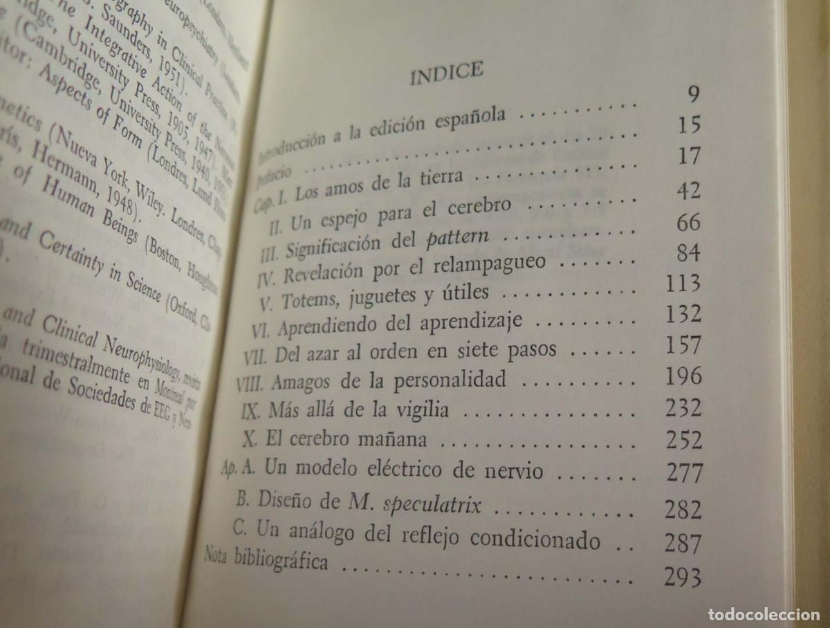 Libros de segunda mano: El cerebro viviente. WALTER - Foto 2