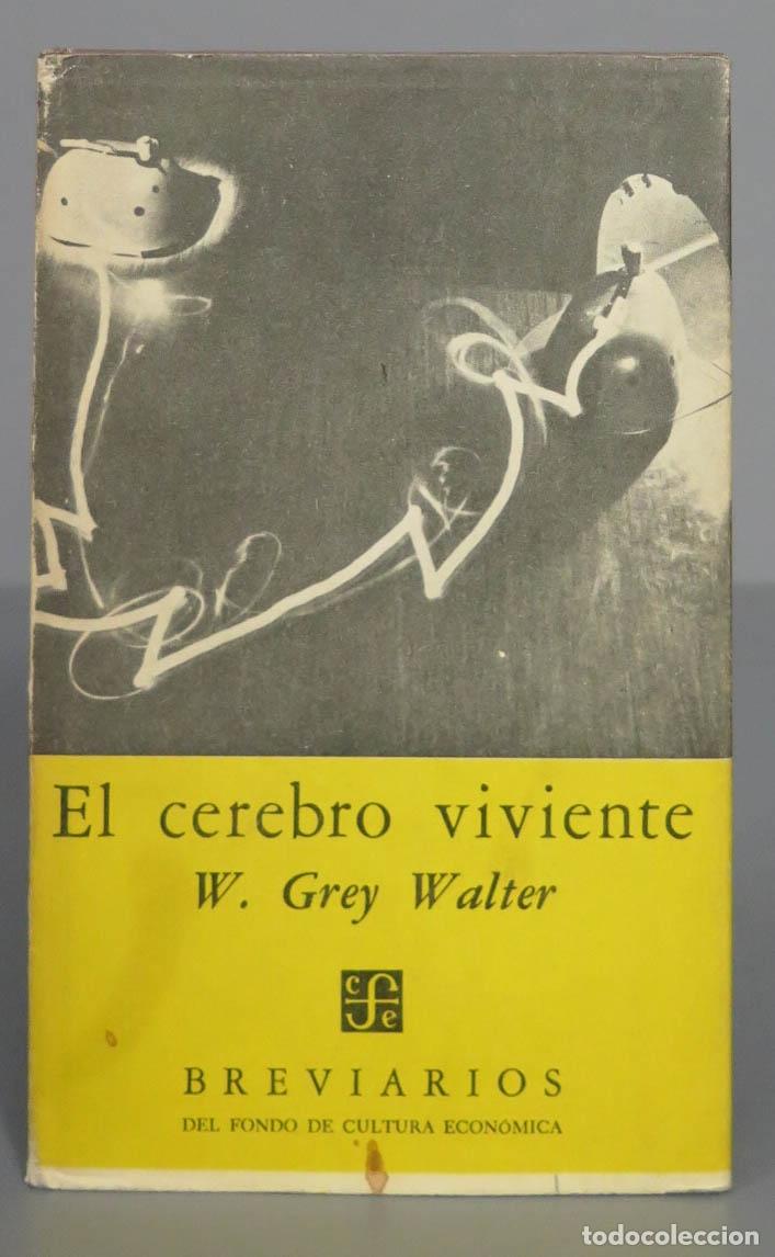 Libros de segunda mano: El cerebro viviente. WALTER - Foto 1