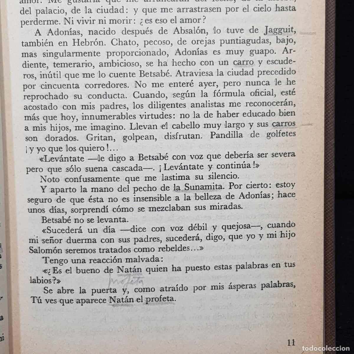 Libros de segunda mano: DAVID - CARLO COCCIOLI - NOVELA - PLANETA - 1978 / 70 - Foto 8