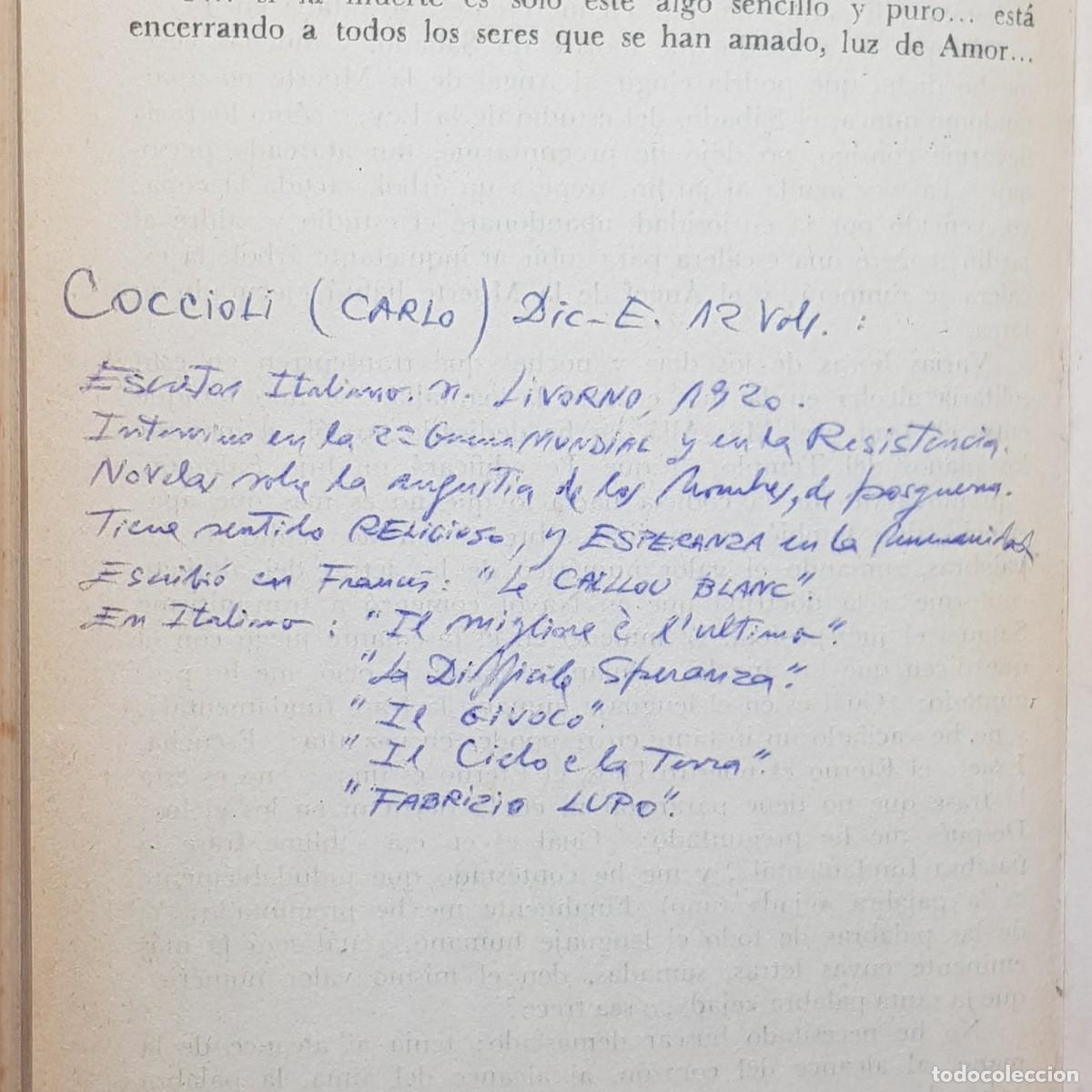 Libros de segunda mano: DAVID - CARLO COCCIOLI - NOVELA - PLANETA - 1978 / 70 - Foto 10