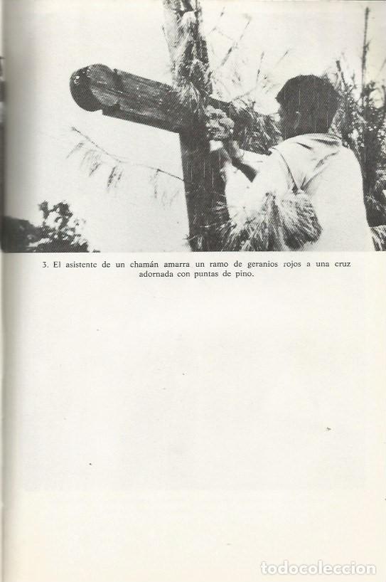 Libros de segunda mano: OFRENDAS PARA LOS DIOSES - EVON Z. VOGT - Foto 3
