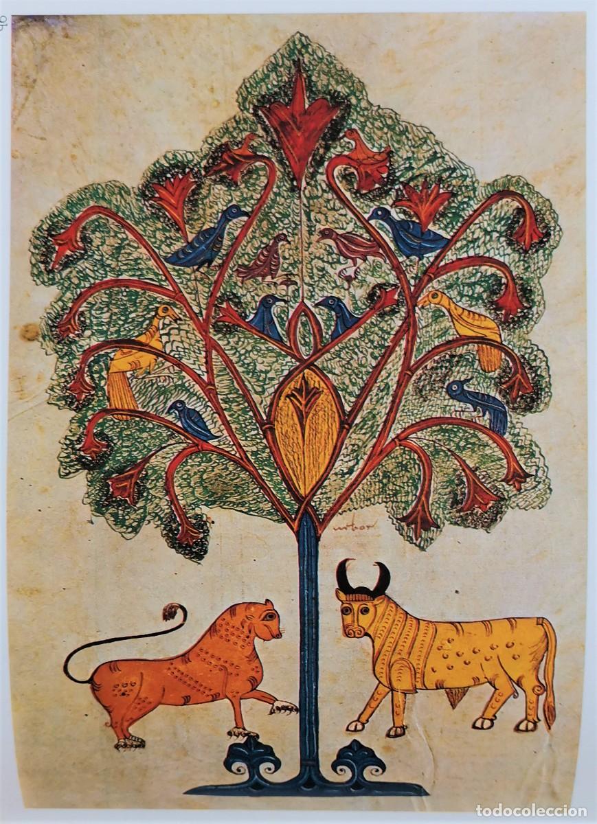 Libros de segunda mano: EARLY SPANISH MANUSCRIPT ILLUMINATION. JOHN WILLIAMS - Foto 7