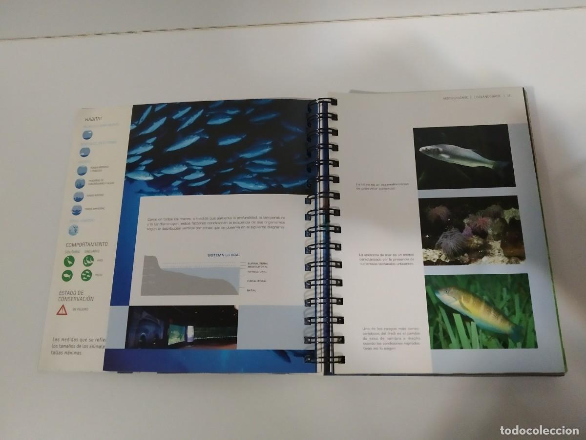 Libros de segunda mano: L&acute;OCEANOGR&Aacute;FIC. GU&Iacute;A PR&Aacute;CTICA EN CASTELLANO - Foto 9