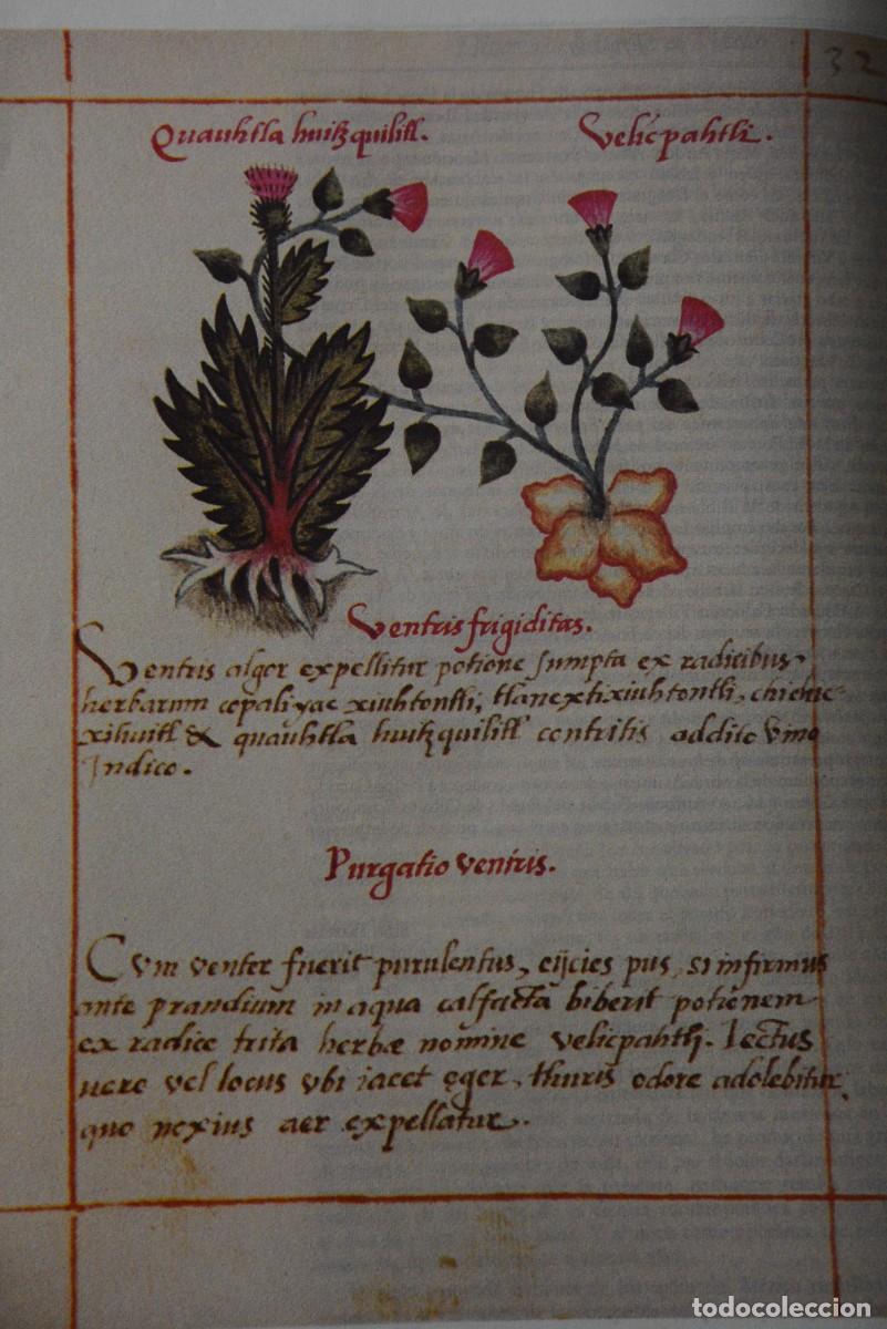 Libros de segunda mano: Historia de la ciencia en Mexico - Foto 2