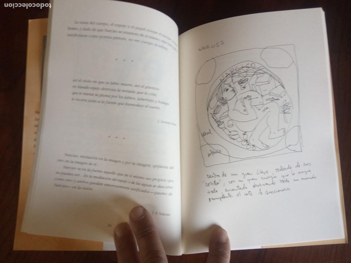 Libros de segunda mano: DESDE OTRO LUGAR .-MERCEDES LAGUENS. - Foto 4