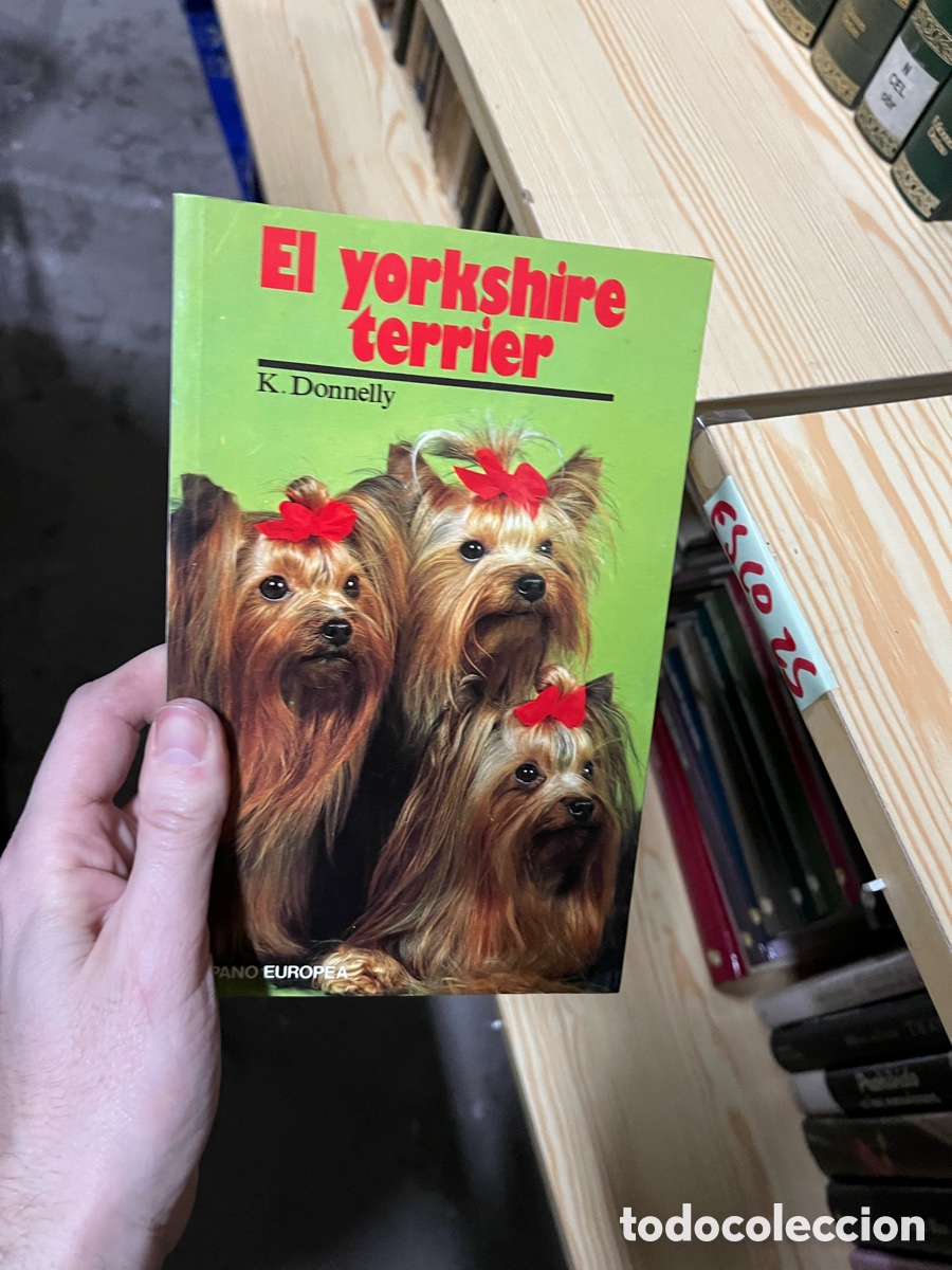 Libros de segunda mano: Esco25 El yorkshire terrier K. Donnelly - Foto 1
