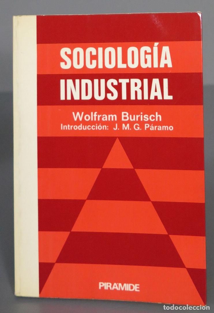 Libros de segunda mano: SOCIOLOGIA INDUSTRIAL. Burisch - Foto 1