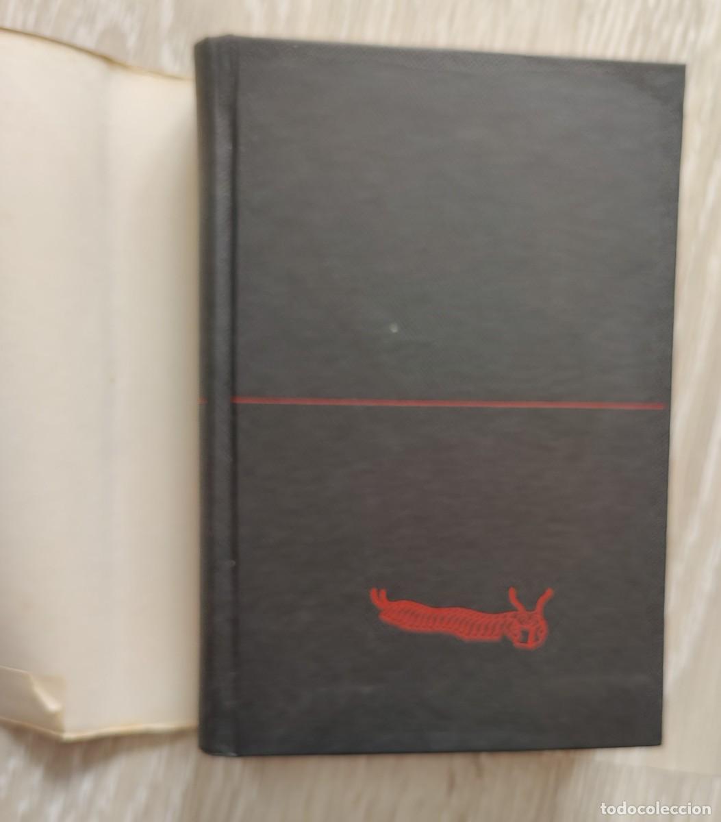 Libros de segunda mano: Libro Rosas Diablos Y Sonrisas - Foto 3