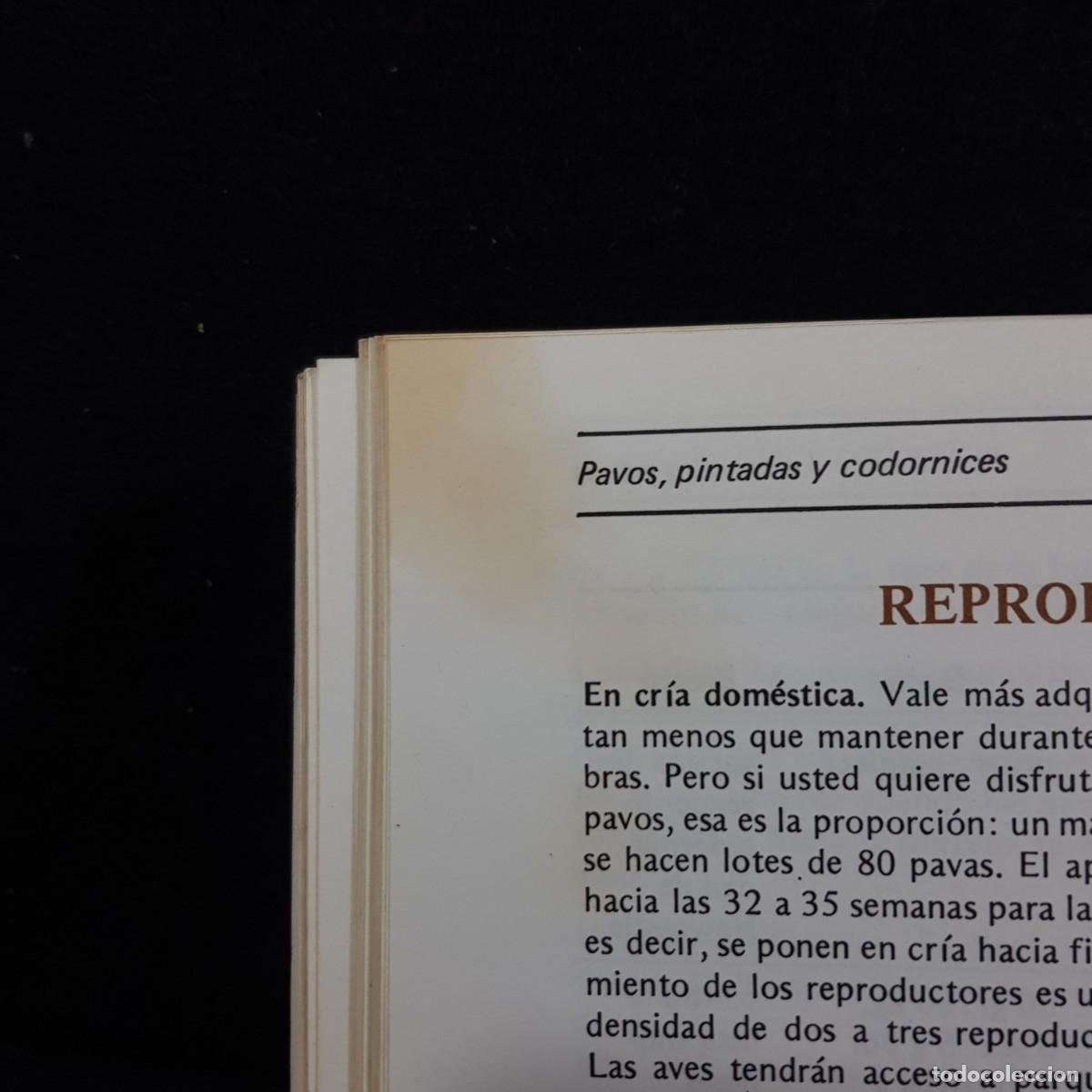 Libros de segunda mano: PAVOS, PINTADAS Y CODORNICES - JEROME SAUZE - EDICIONES MARZO 80 - 1982 / 28.892 - Foto 8