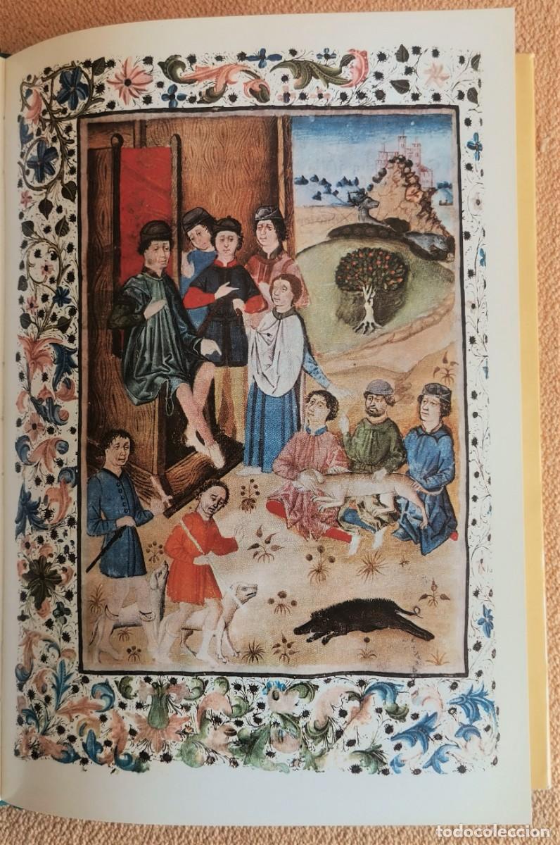 Libros de segunda mano: EL LIBRO DE LA MONTERIA DEL REY DE CASTILLA ALFONSO XI - Foto 5