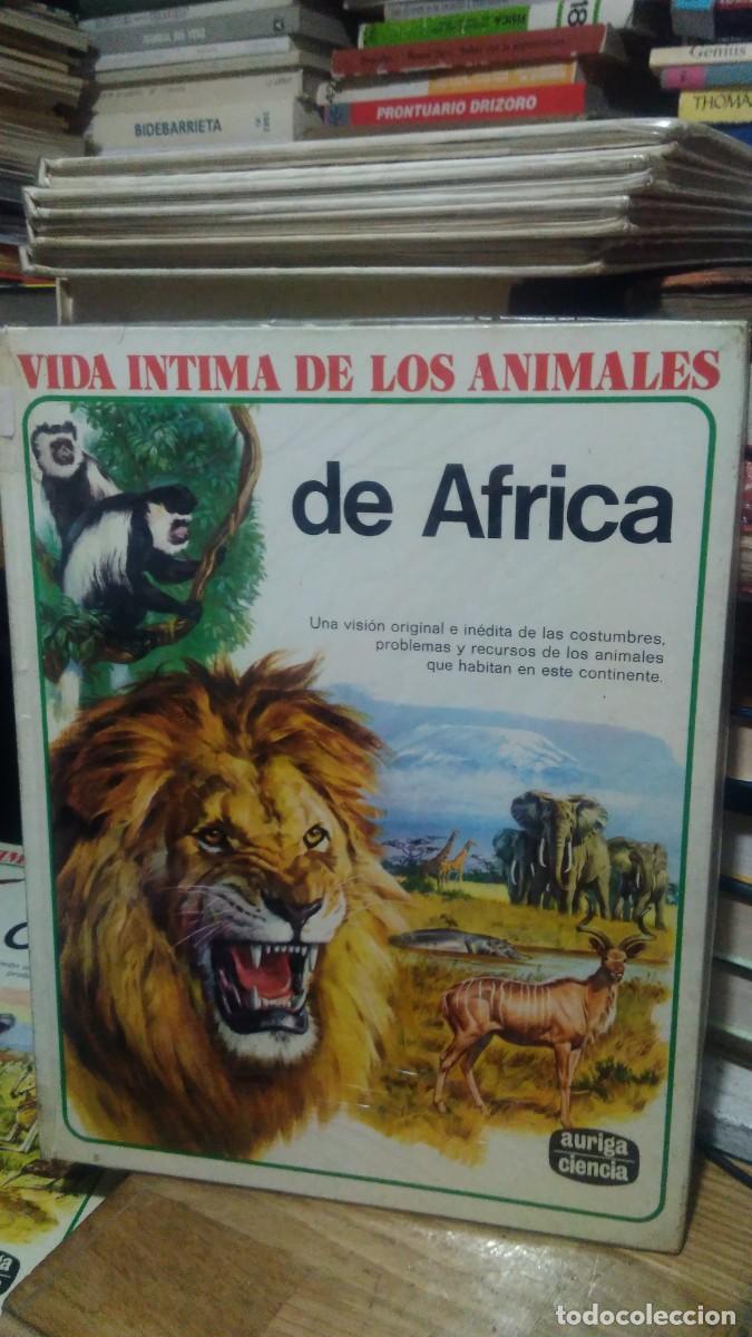 Libros de segunda mano: DE &Aacute;FRICA , VIDA INTIMA DE LOS ANIMALES, ED. AURIGA - Foto 1