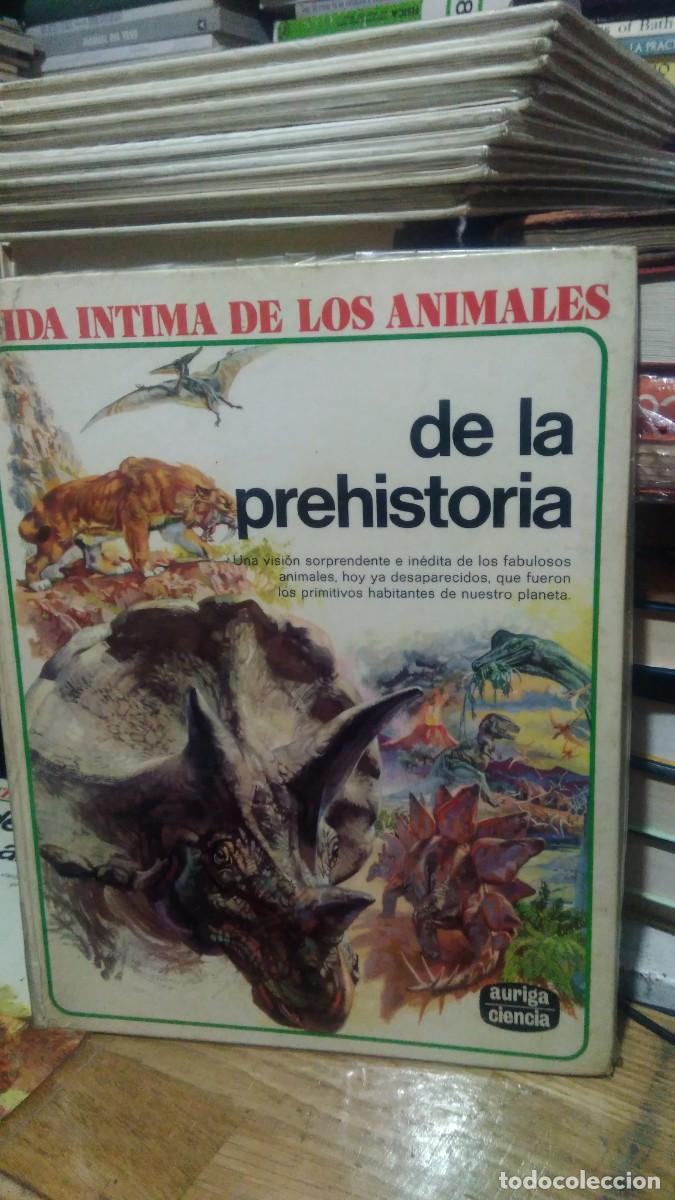 Libros de segunda mano: DE LA PREHISTORIA, VIDA INTIMA DE LOS ANIMALES, ED. AURIGA - Foto 1