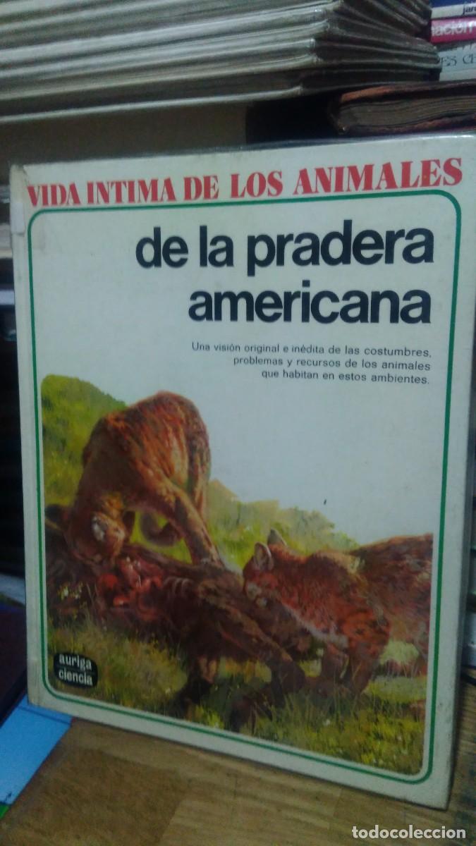 Libros de segunda mano: DE LA PRADERA AMERICANA, VIDA INTIMA DE LOS ANIMALES, ED. AURIGA - Foto 1