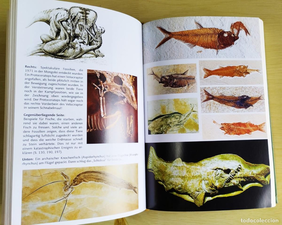 Libros de segunda mano: Ihr seid Lichtwesen de Armin Risi - Foto 12