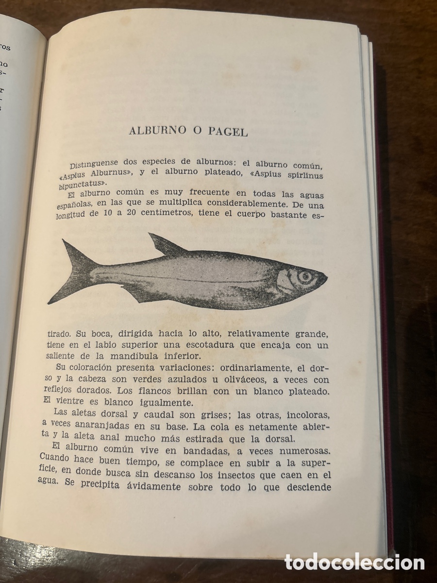 Libros de segunda mano: Libro, la pesca y sus secretos. - Foto 4