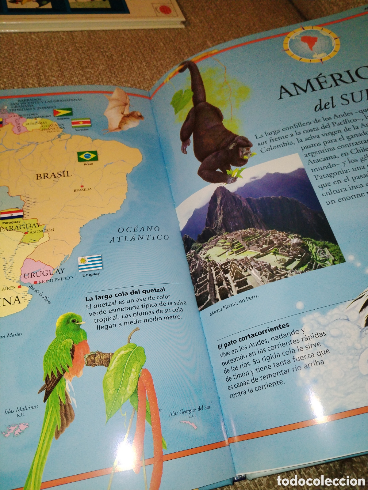Libros de segunda mano: Atlas de los animales. Susaeta - Foto 3