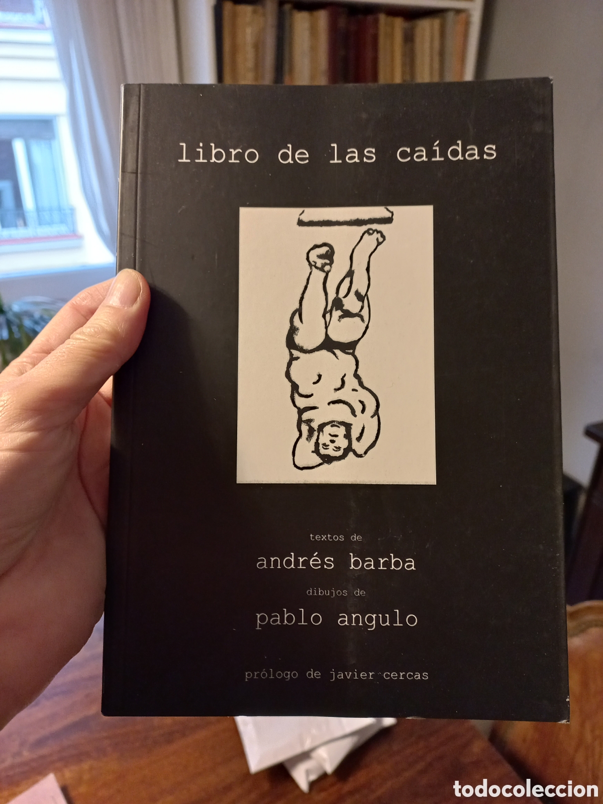 Libros de segunda mano: Libro de las ca&iacute;das, Andr&eacute;s Barba - Foto 1