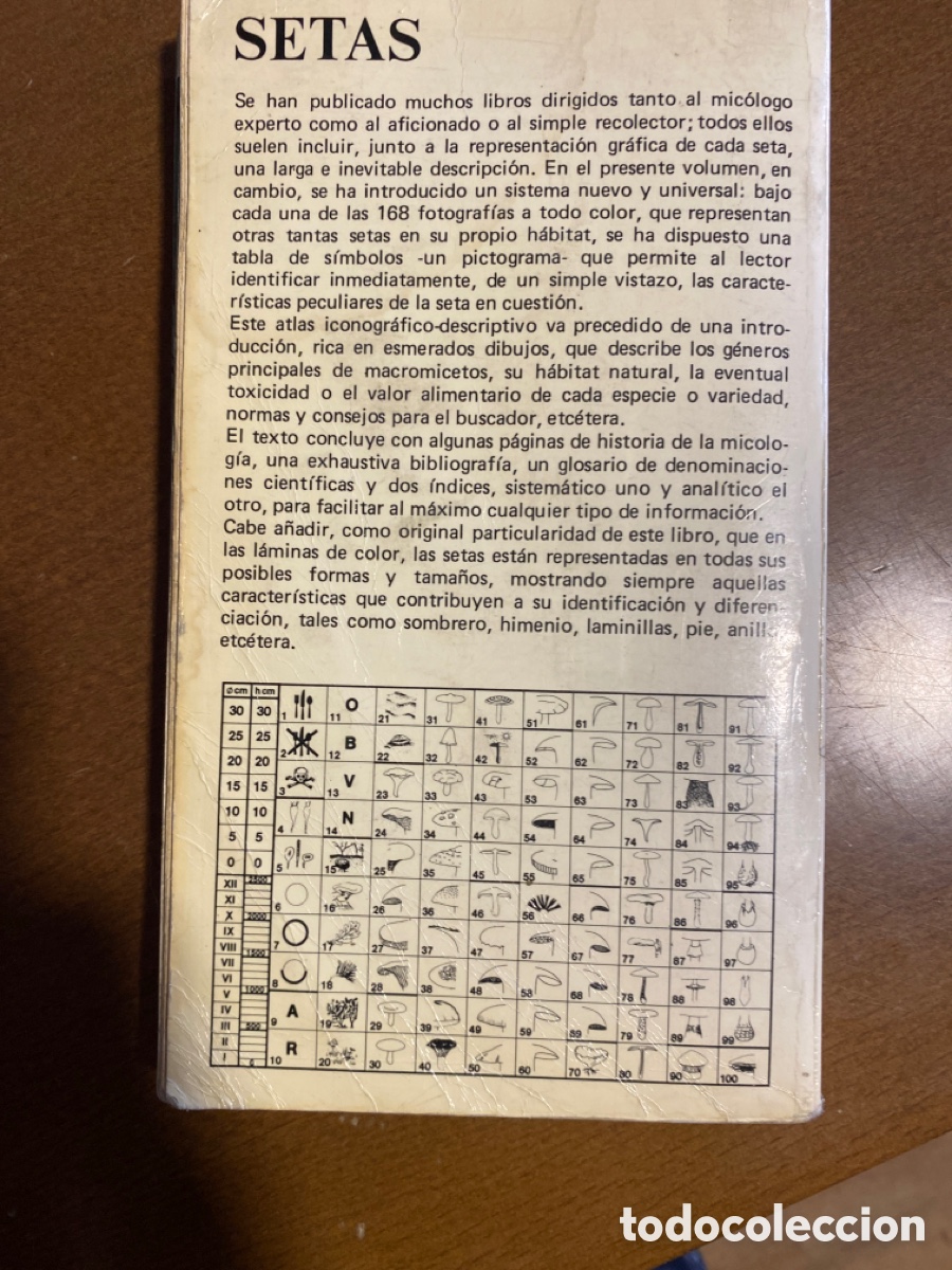 Libros de segunda mano: Gu&iacute;a pr&aacute;ctica setas editorial Daimon - Foto 2