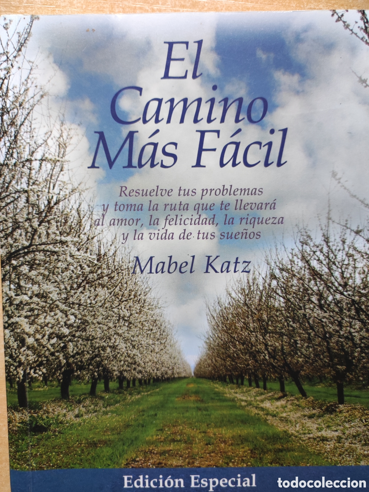 Libros de segunda mano: El camino m&aacute;s f&aacute;cil. Mabel Katz - Foto 1