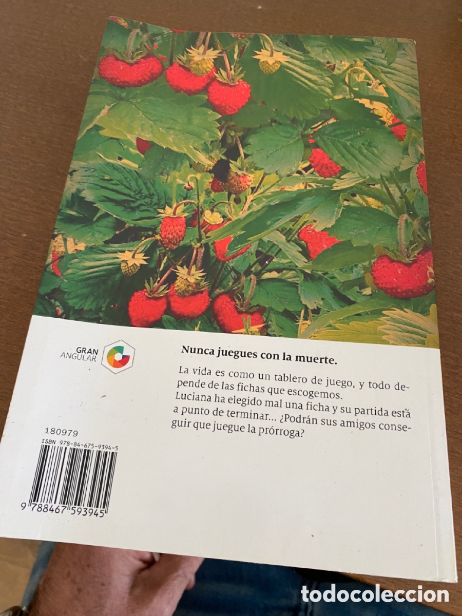 Libros de segunda mano: Campos de fresas de Jordi Sierra Fabra - Foto 2