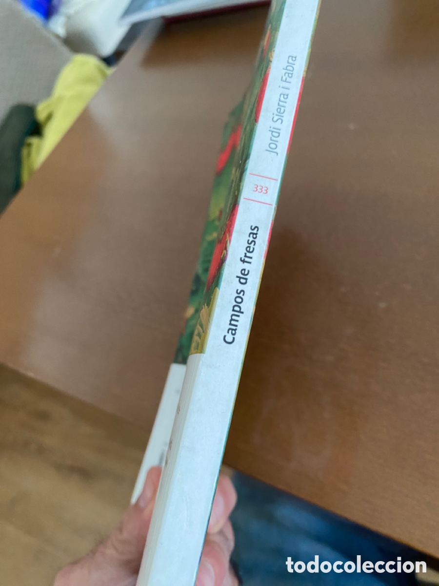 Libros de segunda mano: Campos de fresas de Jordi Sierra Fabra - Foto 3
