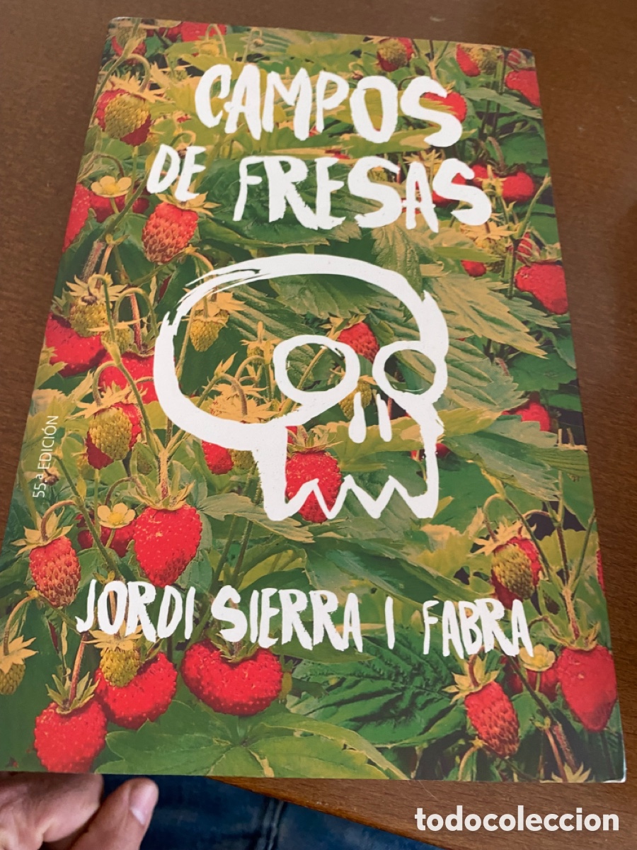 Libros de segunda mano: Campos de fresas de Jordi Sierra Fabra - Foto 1
