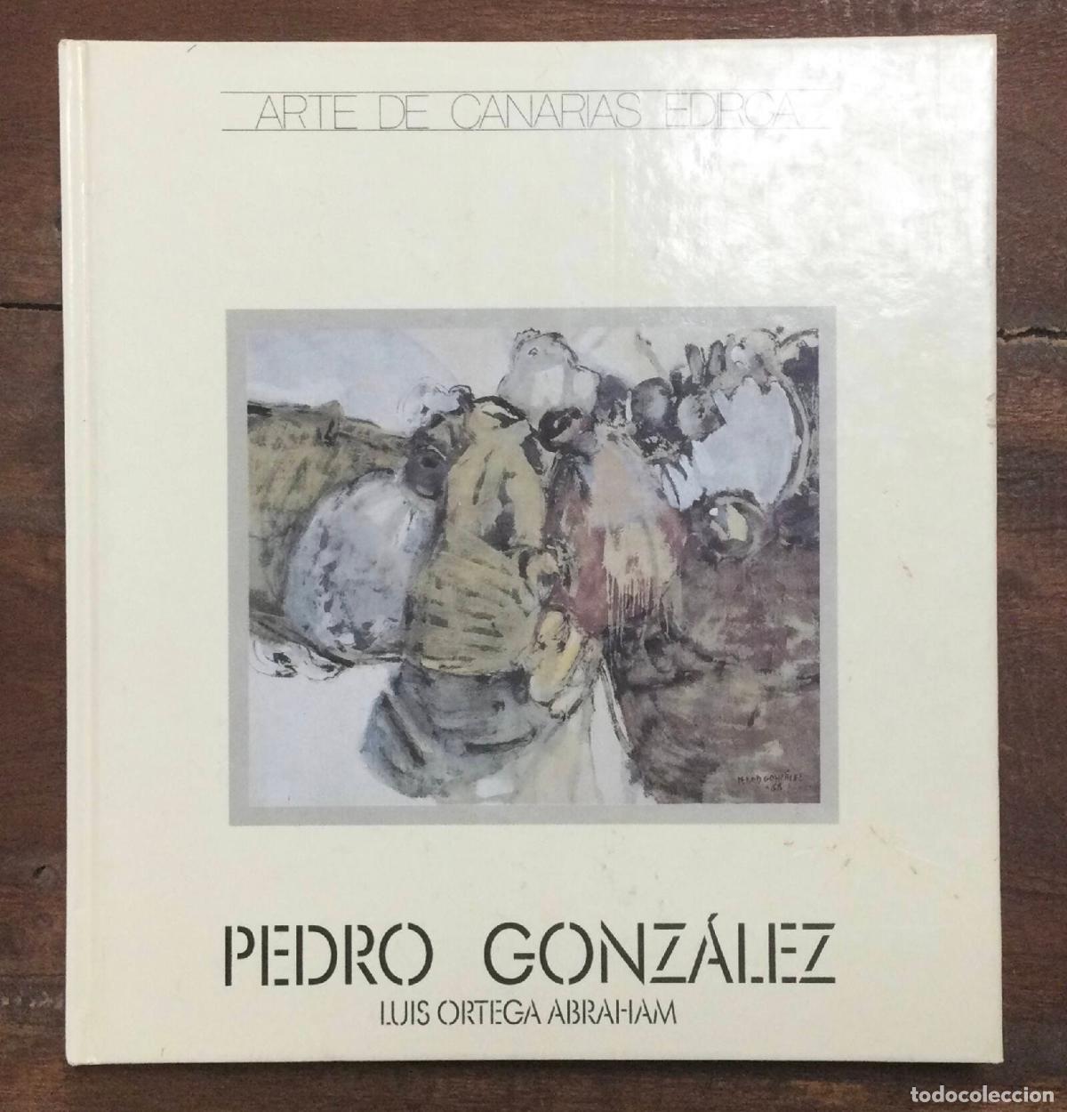 Libros de segunda mano: PEDRO GONZ&Aacute;LEZ. ORTEGA ABRAHAM, Luis. Edirca S.L.. 1991. - Foto 1