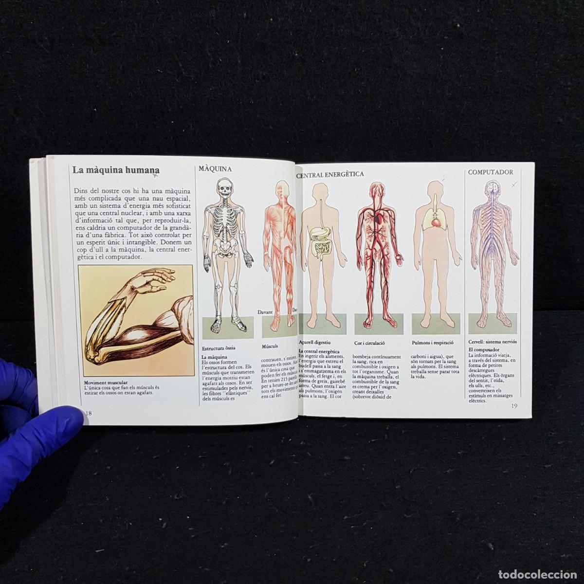 Libros de segunda mano: COM MANTENIR-SE EN FORMA - COM - PETITES GUIES PR&Agrave;CTIQUES - EDITORIAL BLUME / 140 - Foto 5