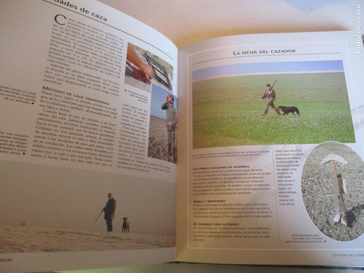 Libros de segunda mano: VV.AA La caza W25544 - Foto 4