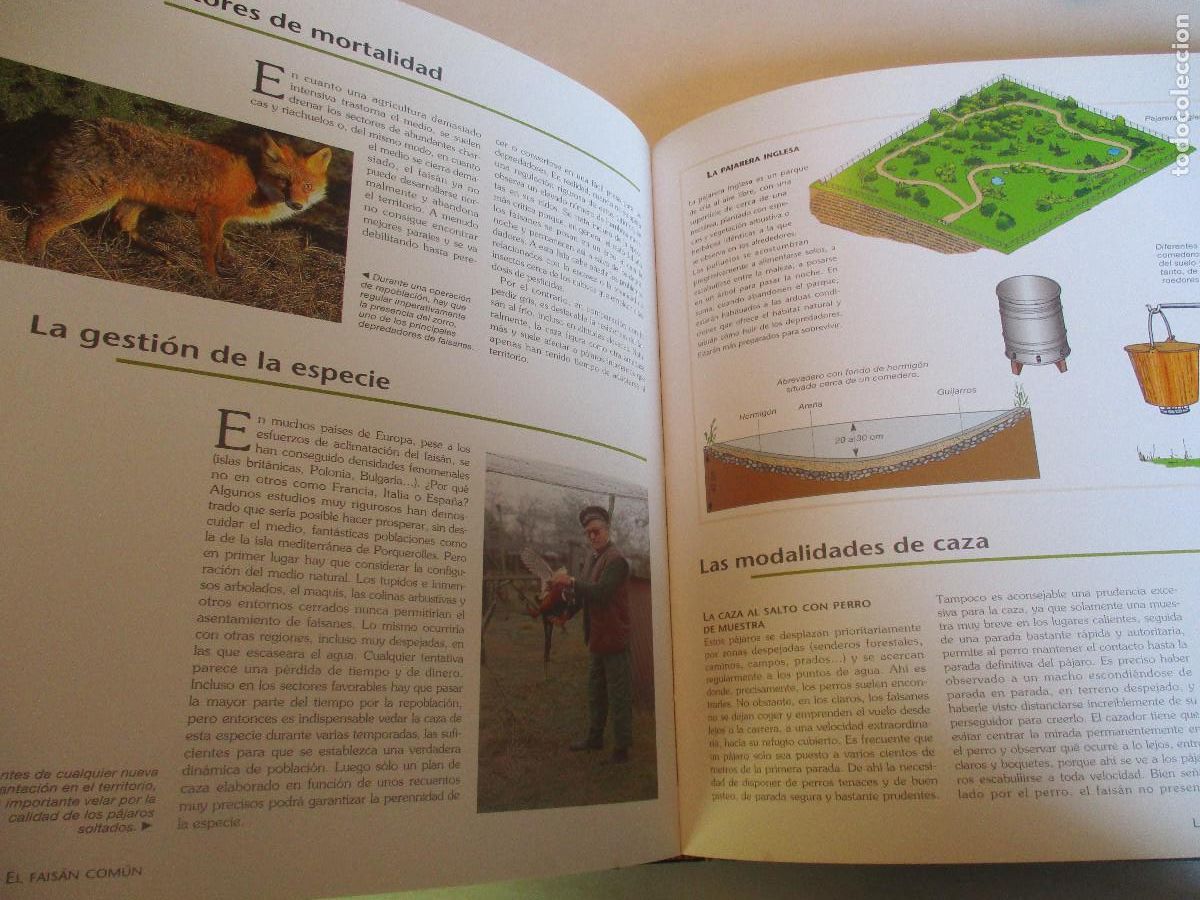 Libros de segunda mano: VV.AA La caza W25544 - Foto 5