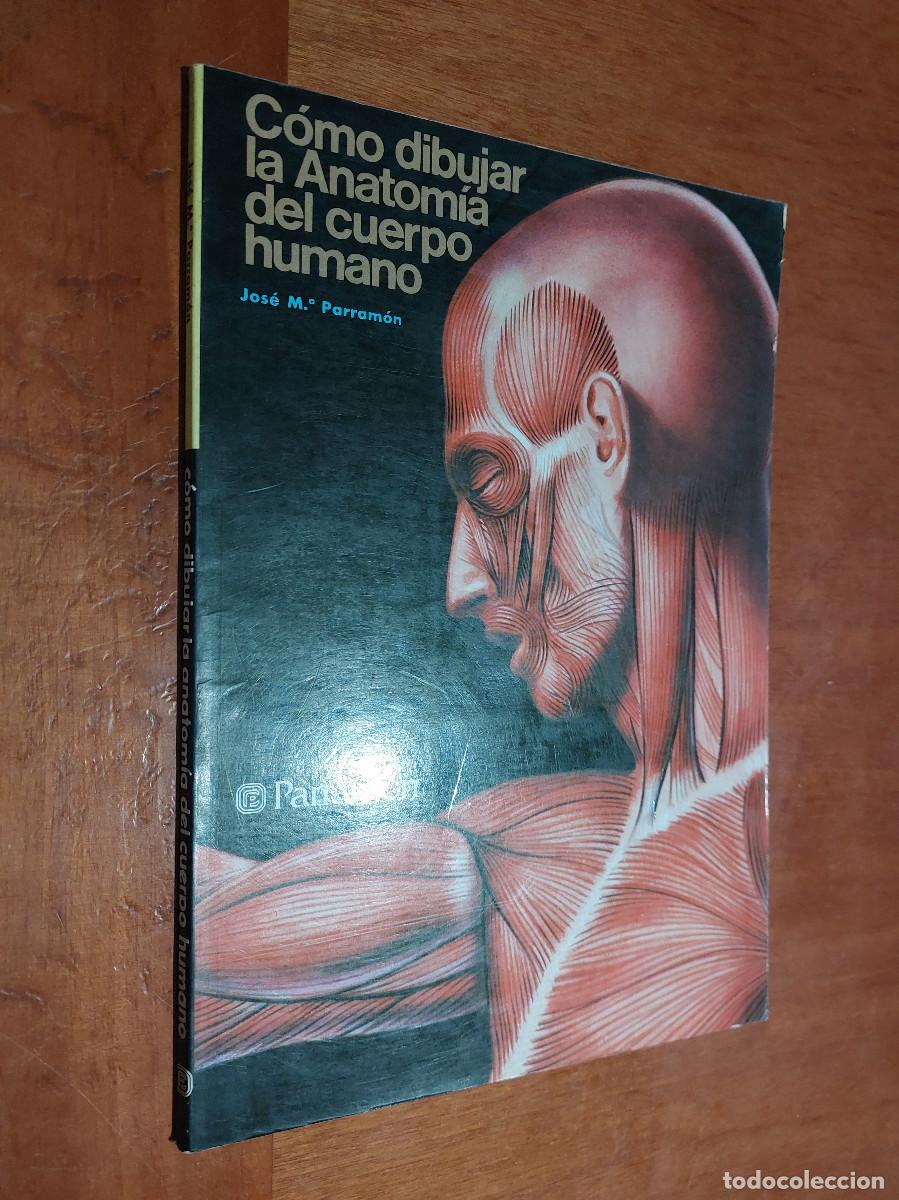 Libros de segunda mano: COMO DIBUJAR LA ANATOM&Iacute;A DEL CUERPO HUMANO. JOSE M&ordf; PARRAM&Oacute;N. R&Uacute;STICA. BUEN ESTADO