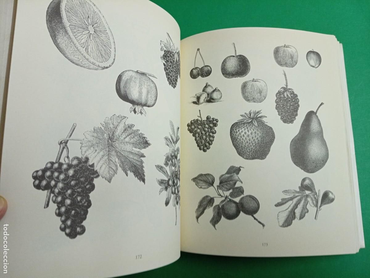 Libros de segunda mano: Antiguo libro Gran Cat&aacute;logo de Vi&ntilde;etas. Par&iacute;s 2001. - Foto 12