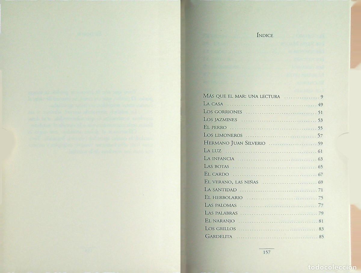 Libros de segunda mano: M&Aacute;S QUE EL MAR - LUIS FERIA - 2001 - TENERIFE - CANARIAS - Foto 2
