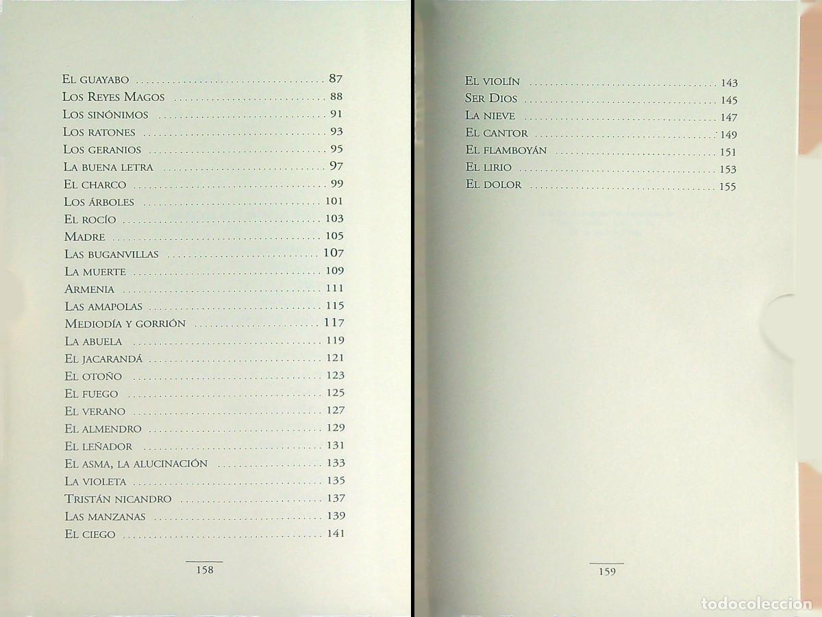 Libros de segunda mano: M&Aacute;S QUE EL MAR - LUIS FERIA - 2001 - TENERIFE - CANARIAS - Foto 3