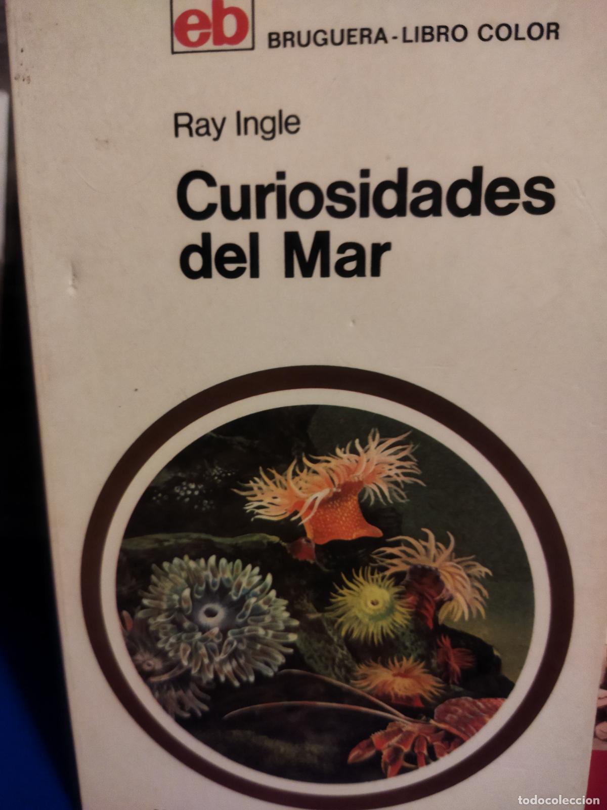Libros de segunda mano: Curiosidades del mar - Foto 1