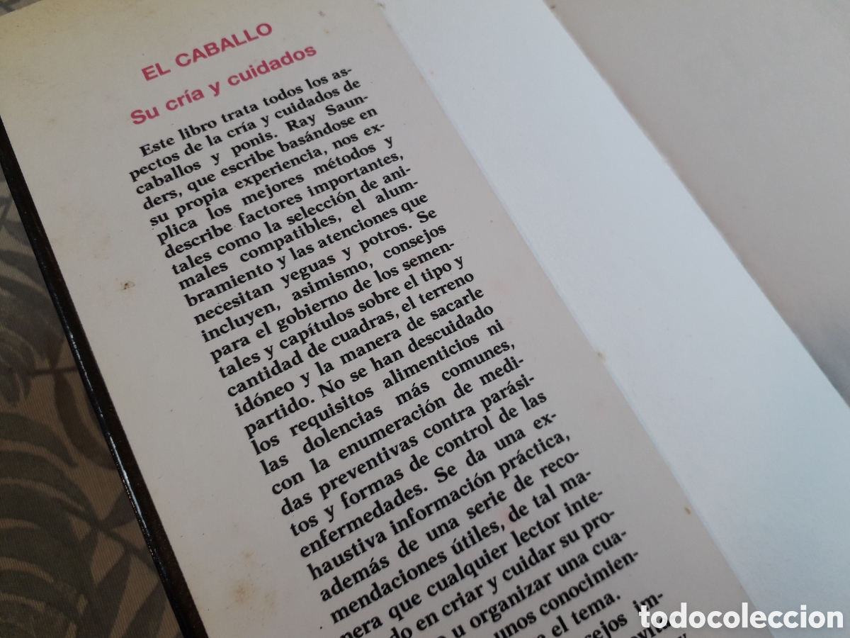 Libros de segunda mano: EL CABALLO, SU CR&Iacute;A Y CUIDADOS, RAY SAUNDERS, - Foto 2