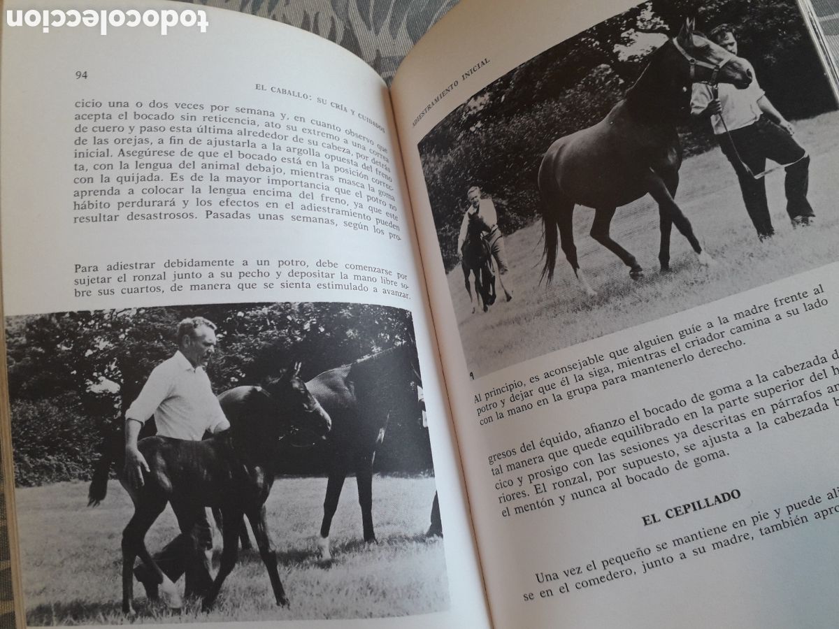Libros de segunda mano: EL CABALLO, SU CR&Iacute;A Y CUIDADOS, RAY SAUNDERS, - Foto 3