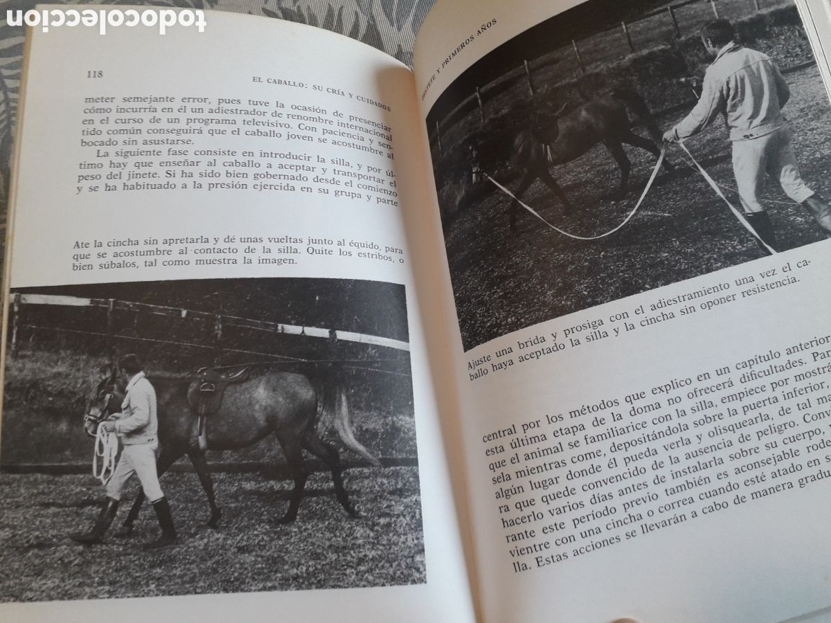 Libros de segunda mano: EL CABALLO, SU CR&Iacute;A Y CUIDADOS, RAY SAUNDERS, - Foto 4