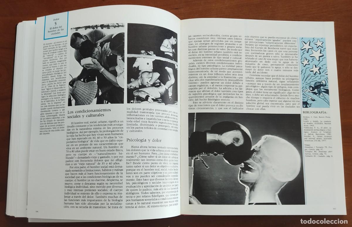Libros de segunda mano: TEMARIO 1981. LAS 13 LUNAS DE 1981 - DIFUSORA INTERNACIONAL - Foto 8