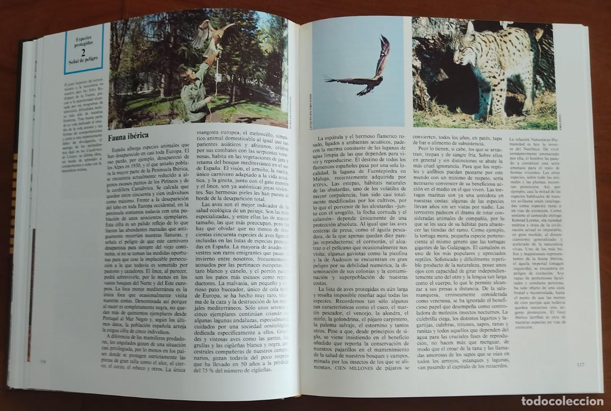 Libros de segunda mano: ANUARIO Y TEMARIO 1984 (DOS TOMOS) - DIFUSORA INTERNACIONAL - CON DISCO - Foto 6