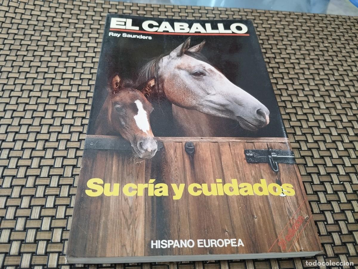 Libros de segunda mano: EL CABALLO SU CRIA Y CUIDADOS RAY SAUNDERS 1990 - Foto 1