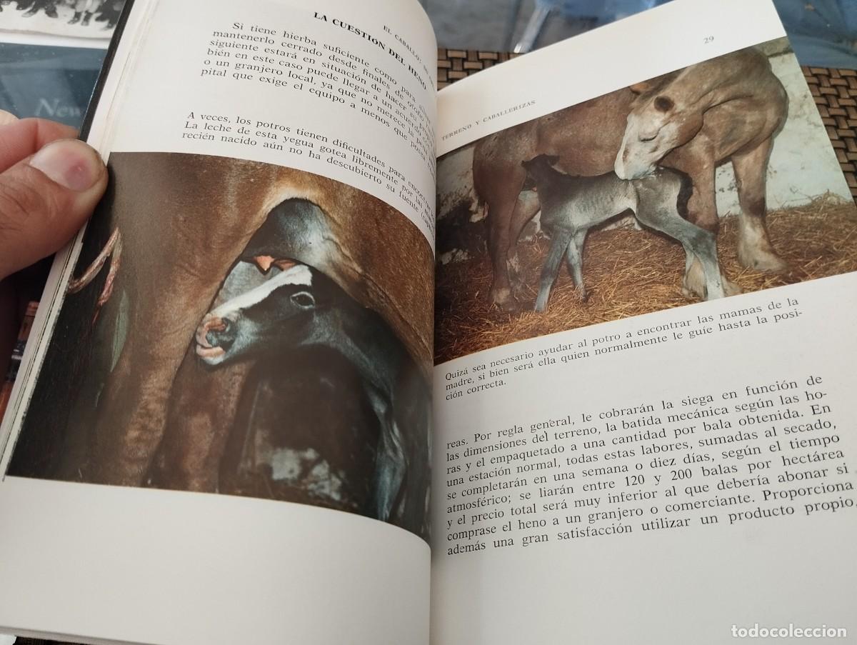 Libros de segunda mano: EL CABALLO SU CRIA Y CUIDADOS RAY SAUNDERS 1990 - Foto 4