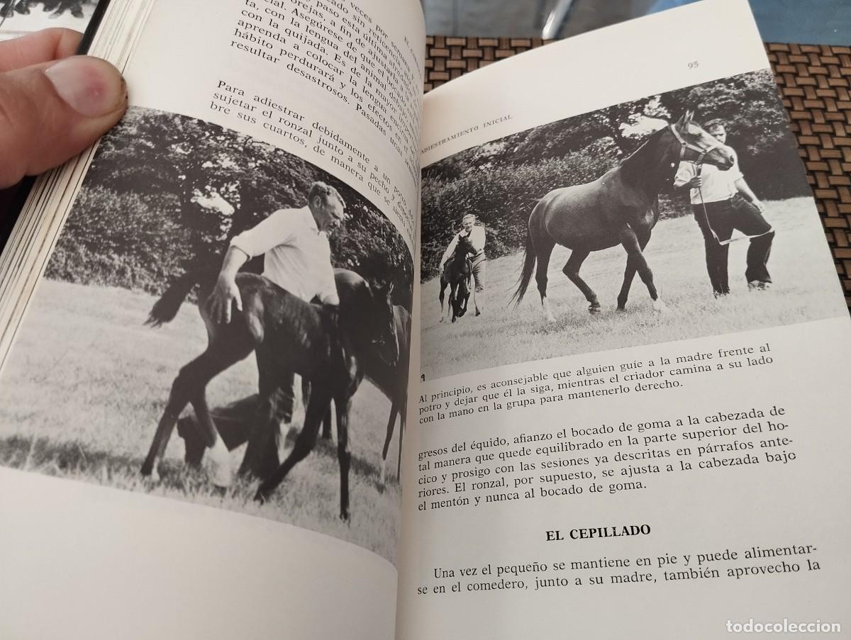 Libros de segunda mano: EL CABALLO SU CRIA Y CUIDADOS RAY SAUNDERS 1990 - Foto 5