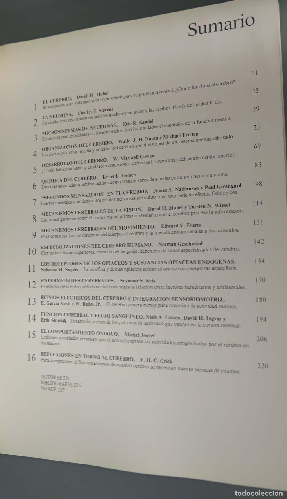 Libros de segunda mano: El Cerebro - Foto 2
