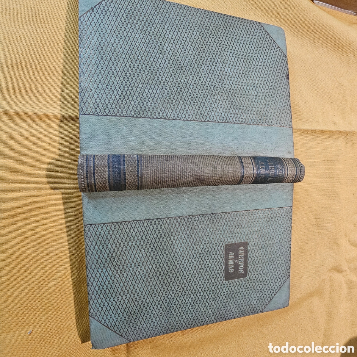 Libros de segunda mano: CUERPOS Y ALMAS MAXENCE VAN DER MEERSCH 1946 - Foto 2