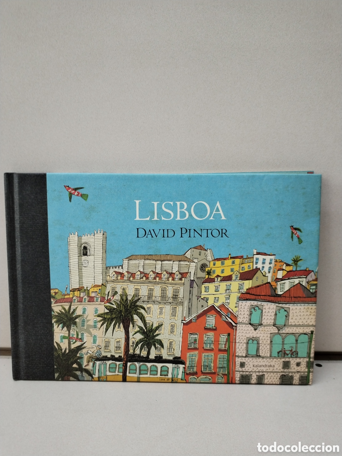 Libros de segunda mano: Lisboa - Pintor, David - Foto 1