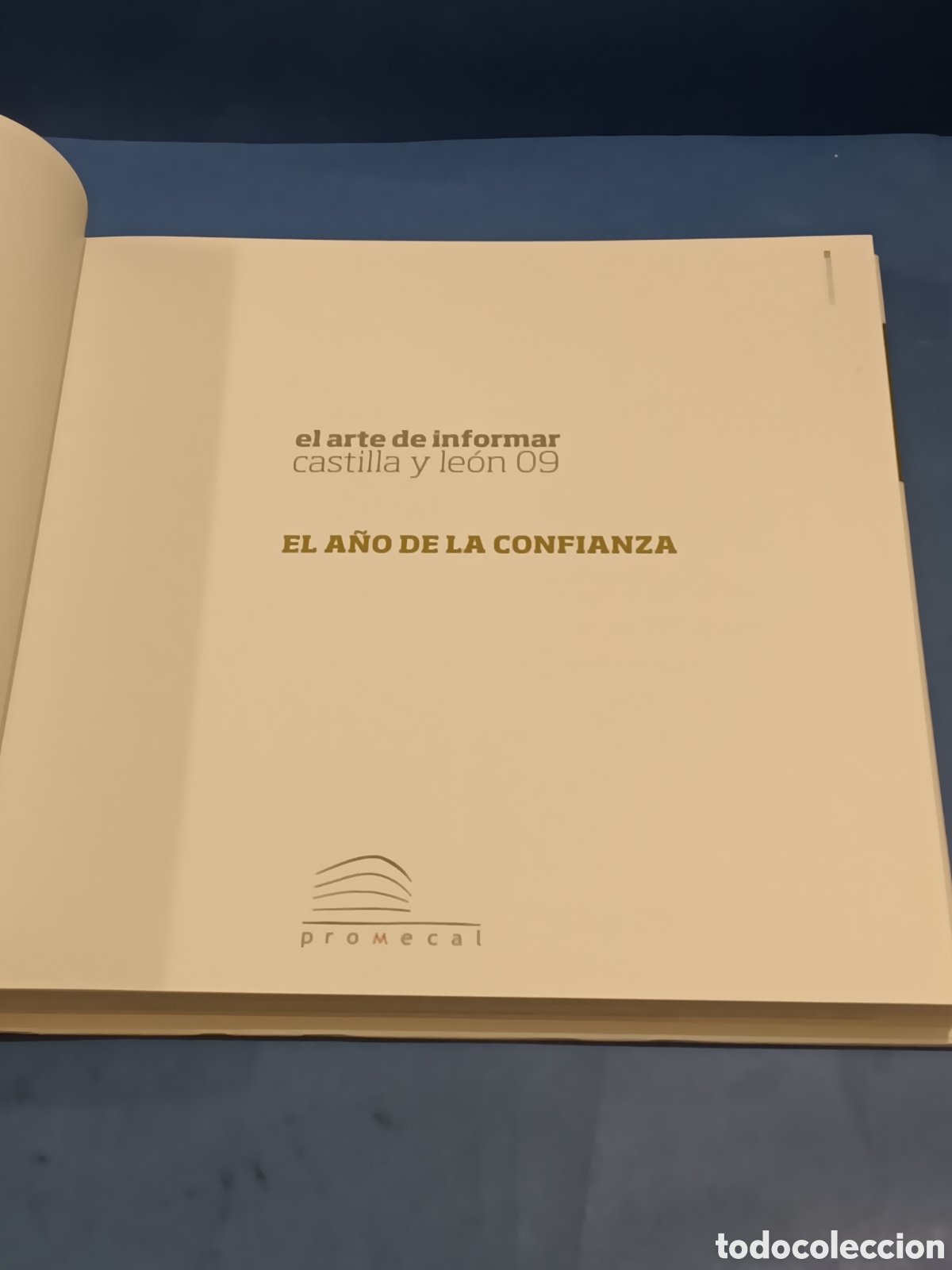 Libros de segunda mano: &rdquo;&rdquo; EL ARTE DE INFORMAR&rdquo;&rdquo;... 2009...EL A&Ntilde;O DE LA CONFIANZA...CASTILLA Y LEON... - Foto 7