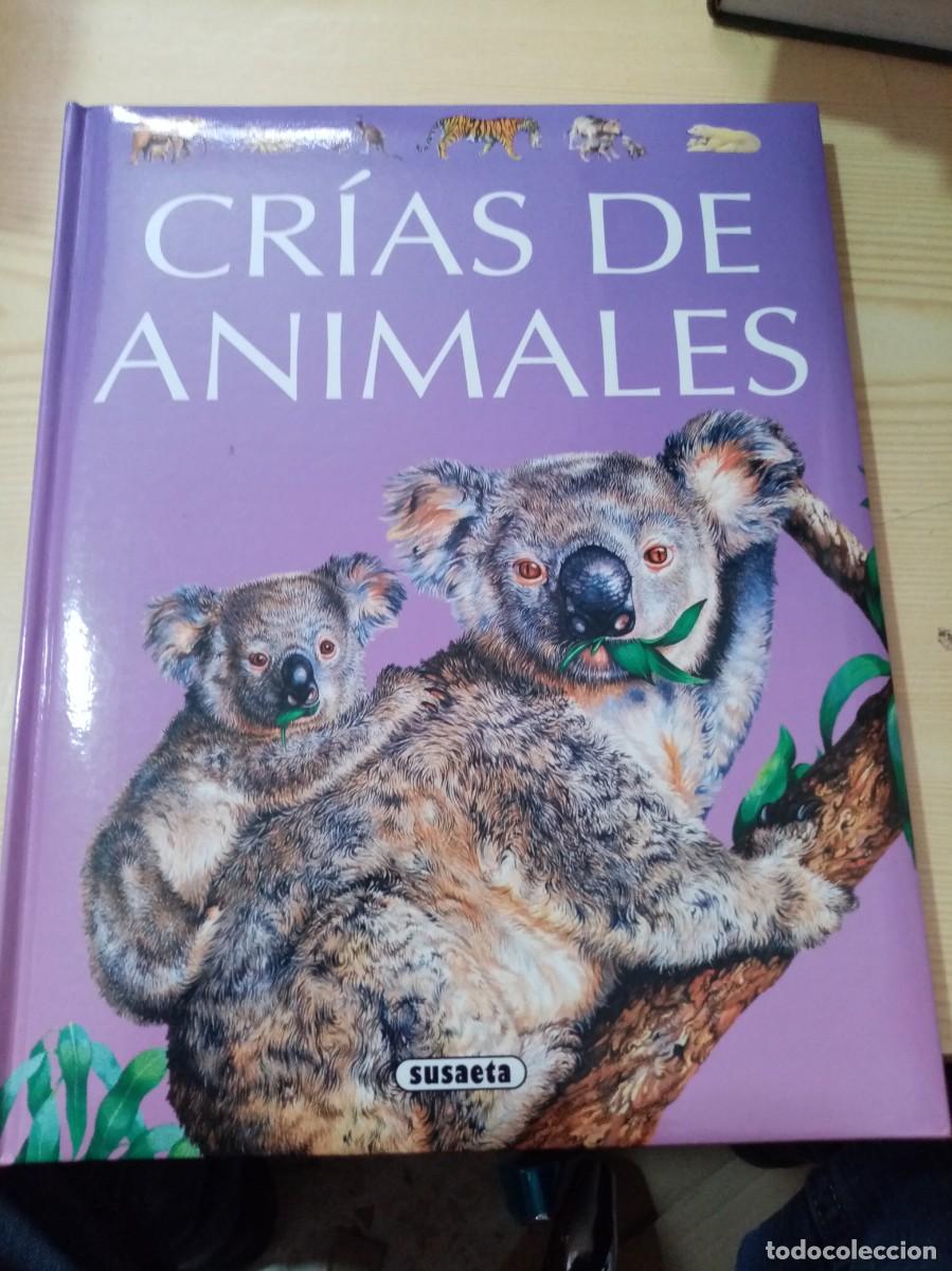 Libros de segunda mano: CRIAS DE ANIMALES. SUSAETA. EST26B3 - Foto 1