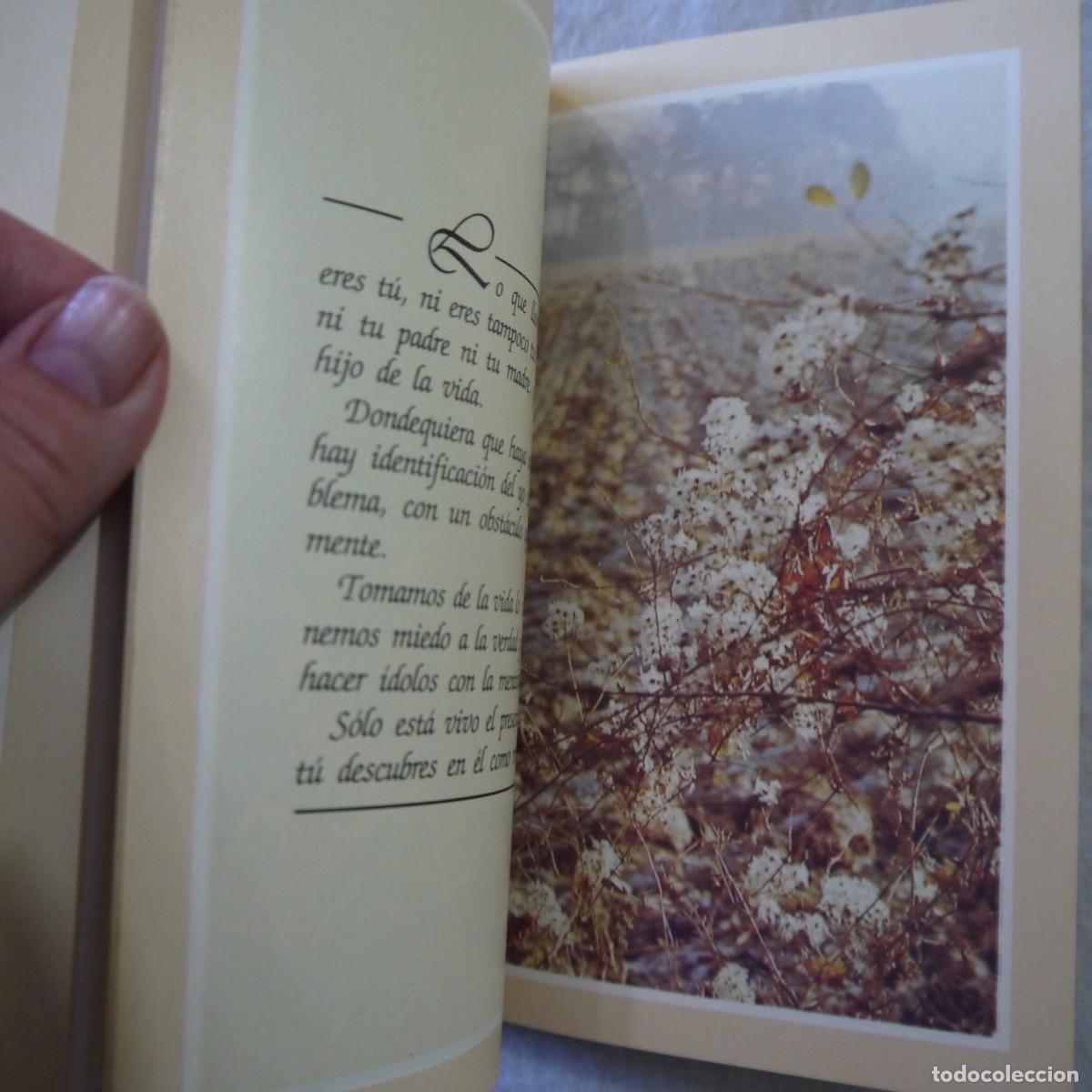 Libros de segunda mano: PERDER LOS MIEDOS. REFLEXIONES DE ANTHONY DE MELLO - LUMEN - Foto 7